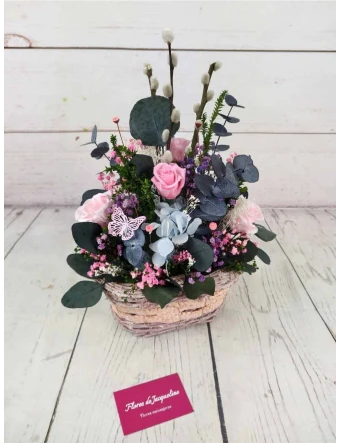 Paniculata preservada