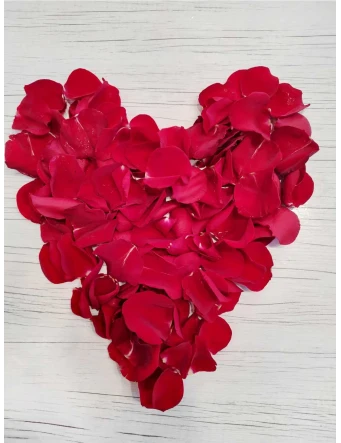 Corazón de petalos de rosas