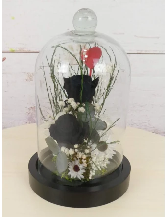 rosas negras preservadas