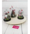 Cúpulas medianas con rosas preservadas