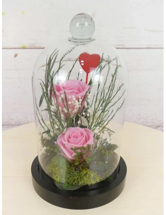 Rosas rosadas preservadas