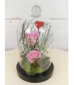 Rosas rosadas preservadas