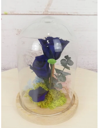 rosas azules preservadas