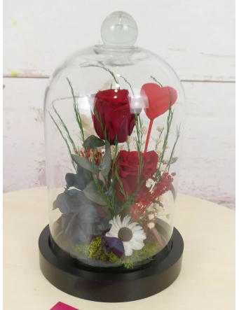Rosas preservadas Romeo y Julieta