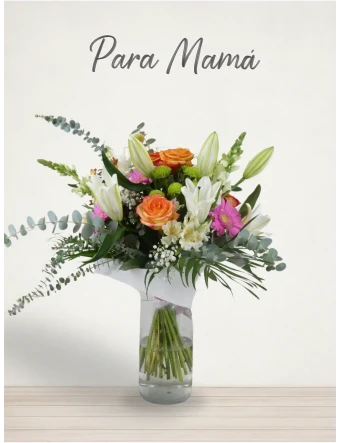 Para la Mejor Madre del Mundo