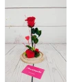 Cúpula sencilla de rosa roja eterna