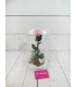 Rosa Eterna Rosada