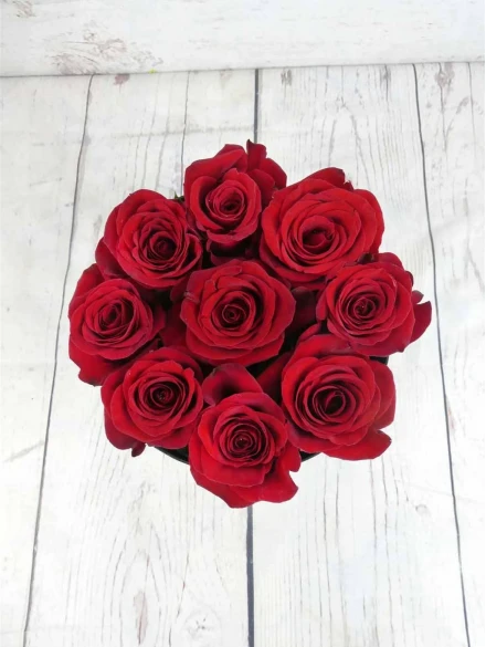 Caja Negra 9 Rosas Rojas