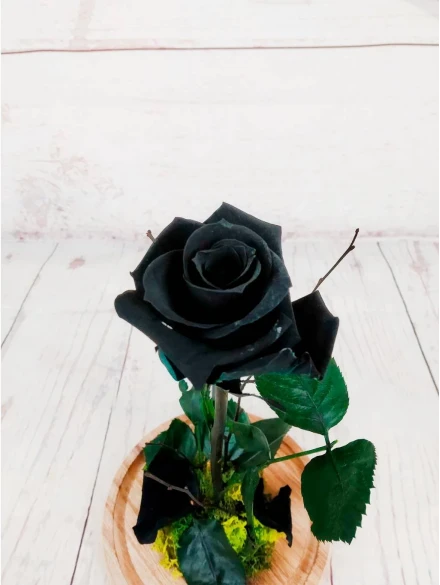 Rosa Preservada Negra En Cúpula de Cristal
