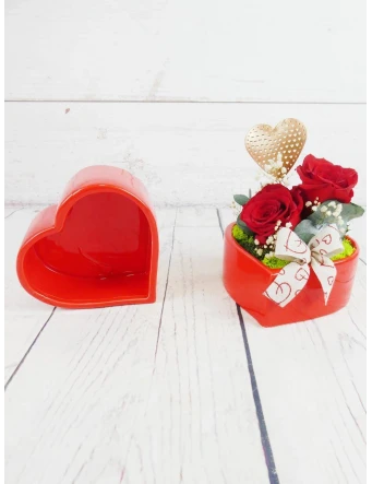 Rosas Preservadas Amor Infinito