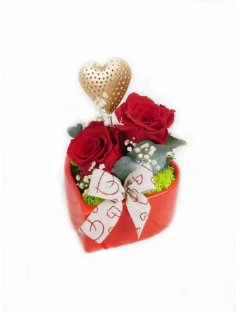 Rosas Preservadas Amor Infinito