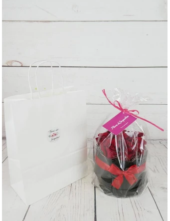 Caja Negra 7 Rosas Rojas