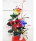 Rosas Preservadas Arcoíris