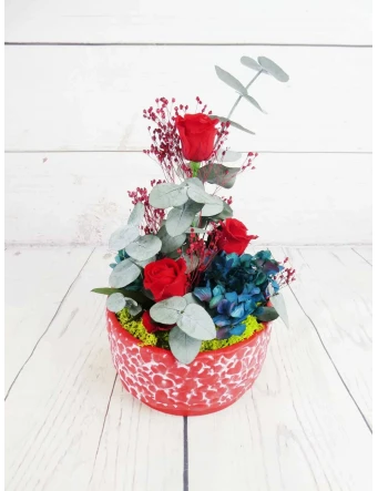 Rosas Preservadas en Cerámica