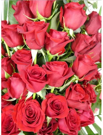 Ramo funerario de 25 rosas