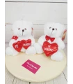 Pack de chocolate, flores y peluche