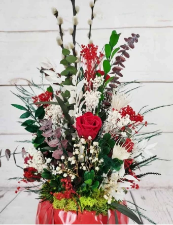 Centro Preservado Pasión