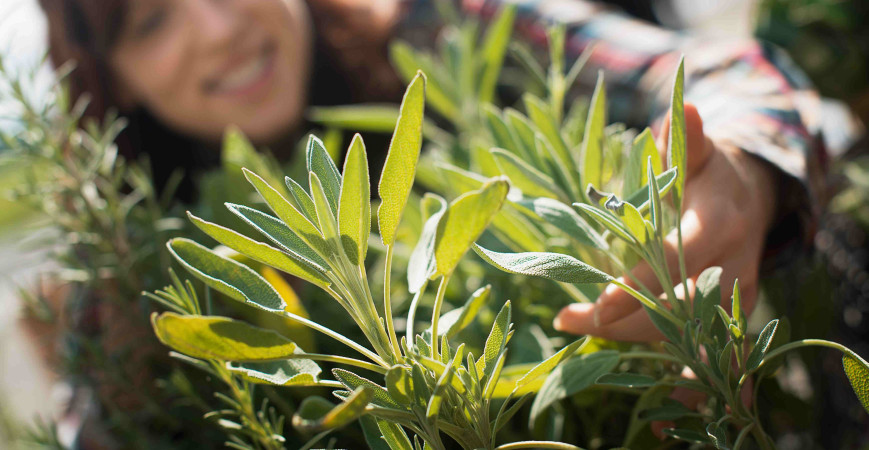 Cómo cuidar tus flores para que duren más